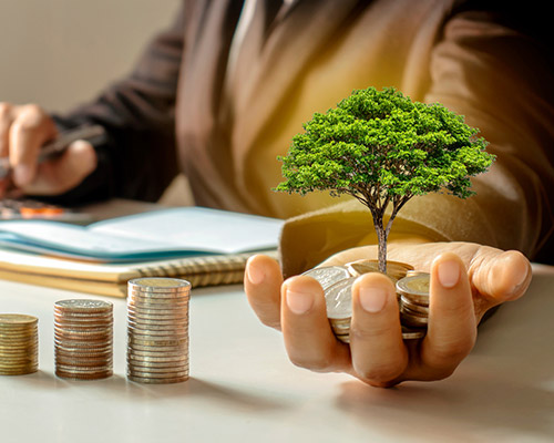Origin of the Employment Stabilization Fund
